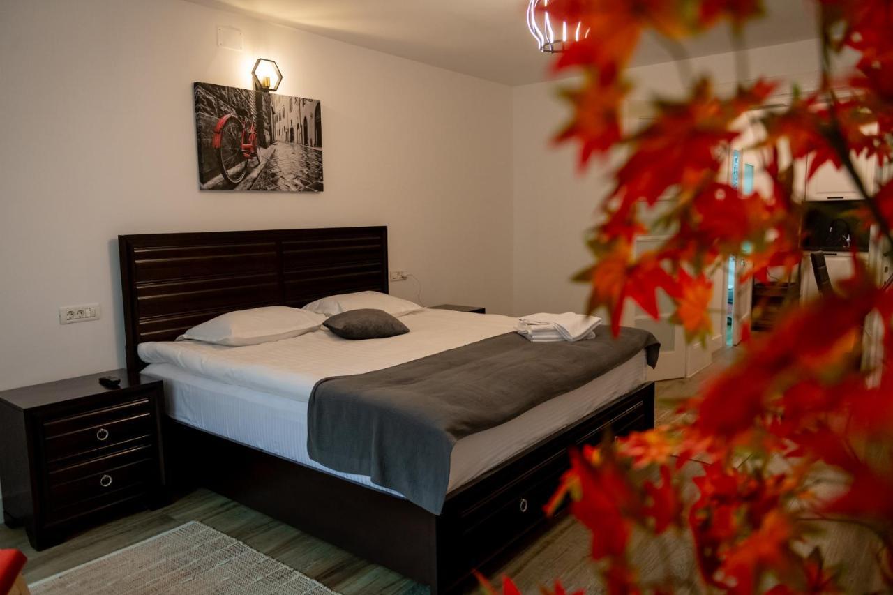 Old Town Suites Brassó Kültér fotó